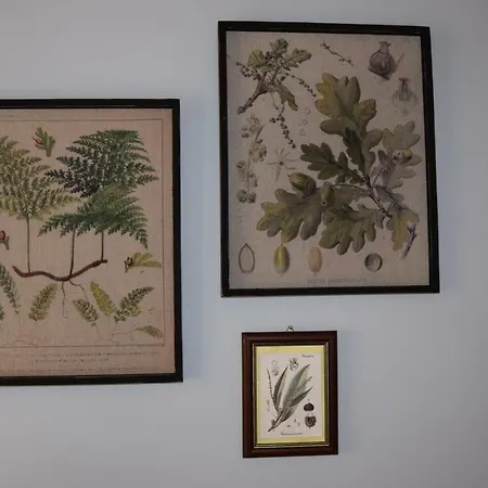 Appartement Domunua House *