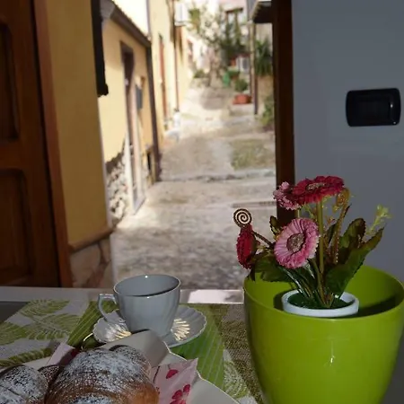 Apartment Domunua House